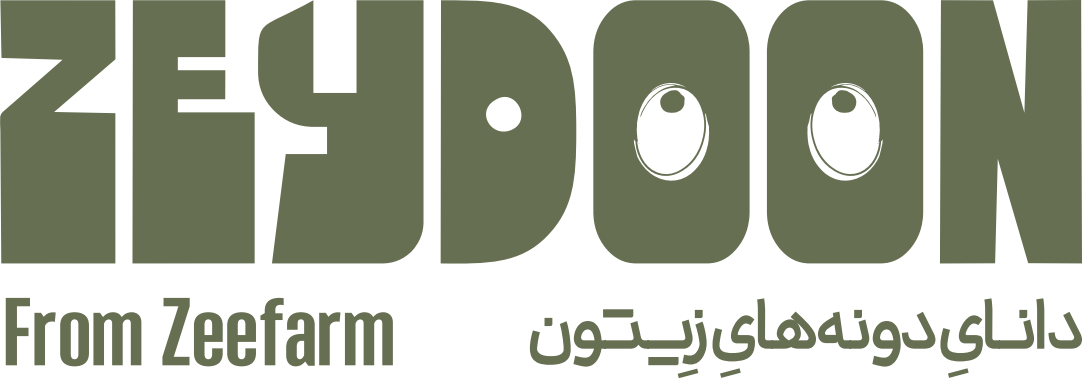 لوگوی انگلیسی تأییدشده زیدون